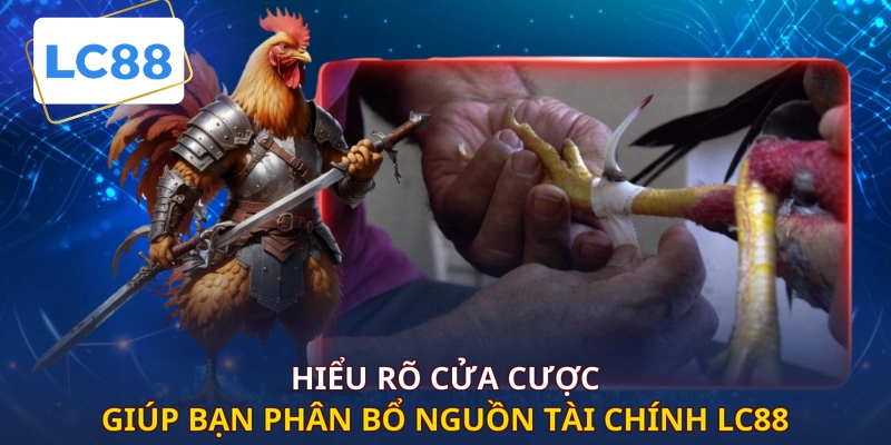 Hiểu rõ cửa cược giúp bạn phân bổ nguồn tài chính LC88